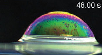 Figure 1 : Bulle de savon à la surface d'une solution