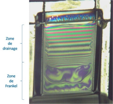Figure 2 : Film de savon pendant sa génération.