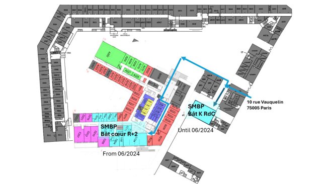 SMBP location in ESPCI campus